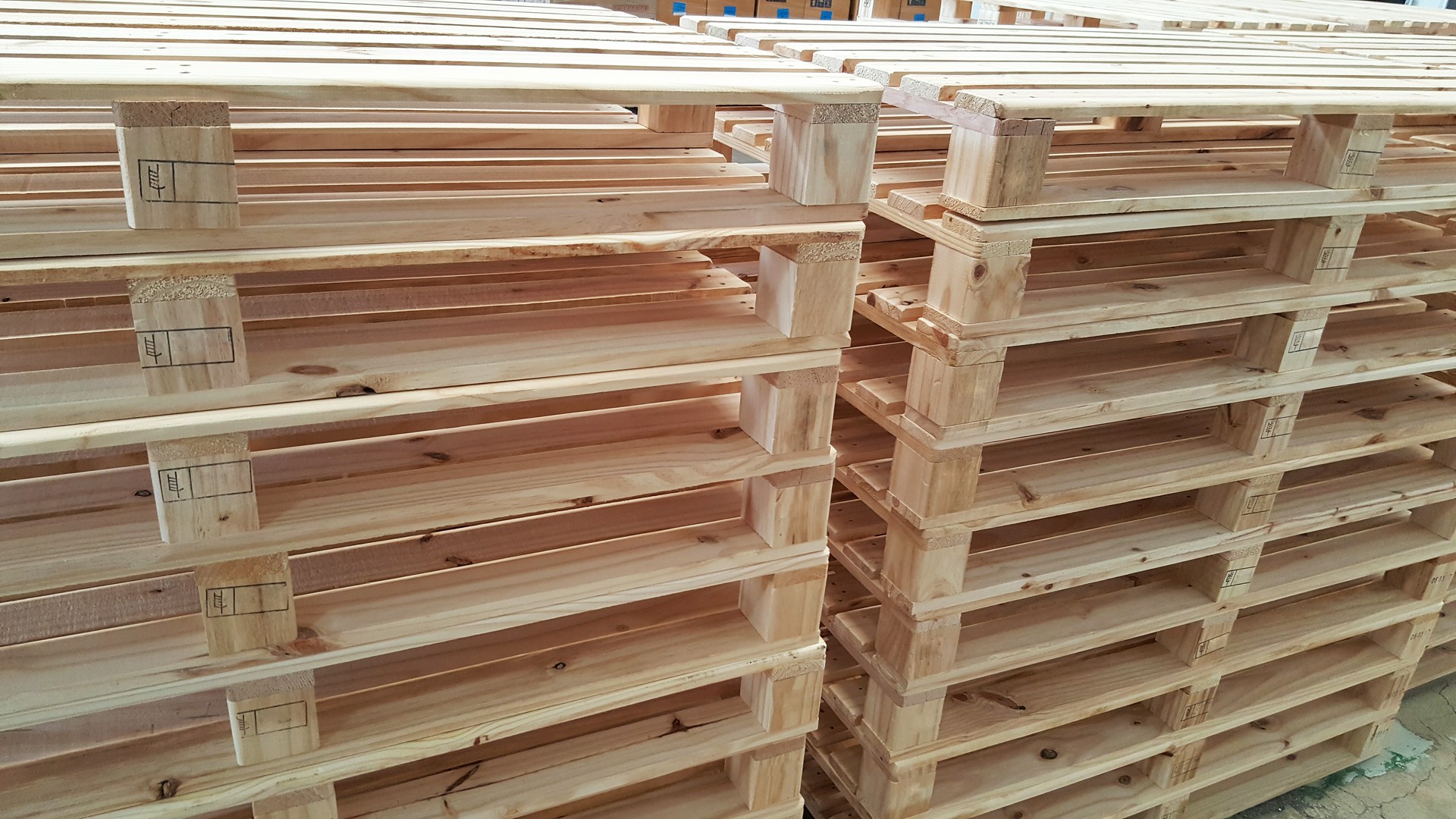 Cena palety: co wpływa na jej wartość?